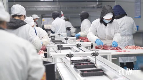 牛肉市場波動下，安順肉牛產業與餐飲服務的穩健發展之道